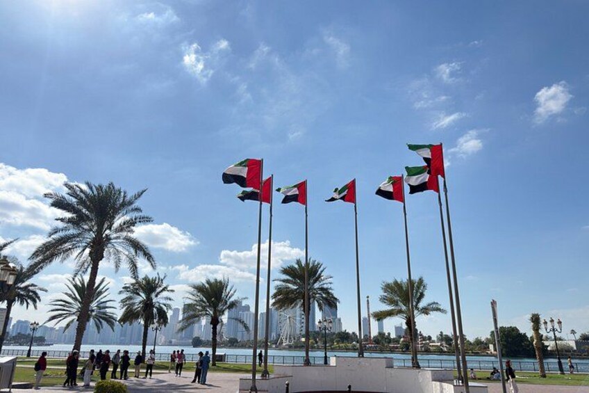 A waterfront promenade with palm trees and flags. 5