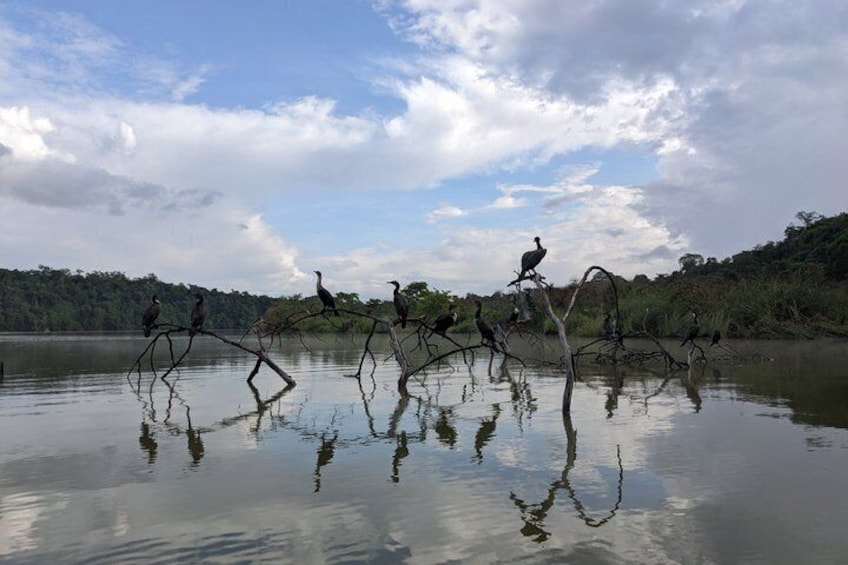 Lake Duluti Canoeing Forest Walking and Birdwatching Tour 5