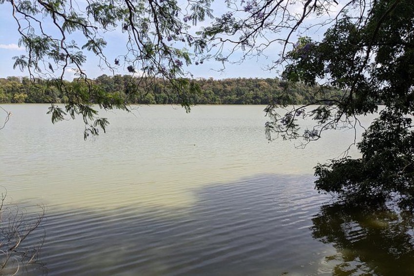 A calm lake surrounded by trees. 5