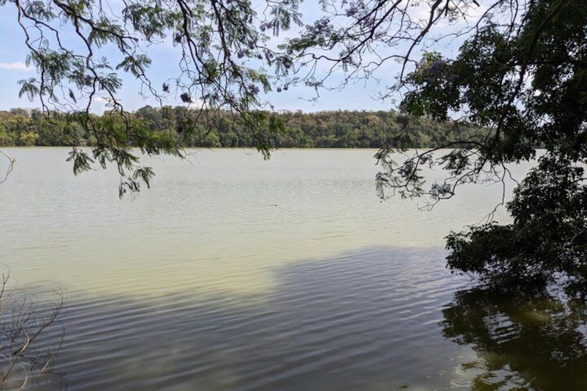 Lake Duluti Canoeing Forest Walking and Birdwatching Tour 4