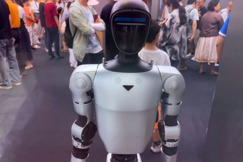 Shanghai: Old Temple & New Robotics half-day Tour 1