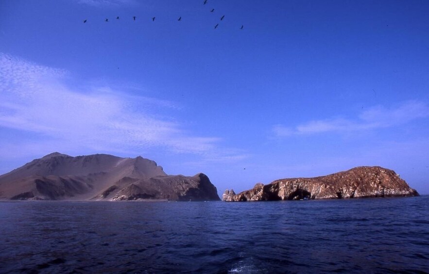 Picture 4 for Activity Private tour to the San Gallán Islands on a Premium slider and the Candelabro 2