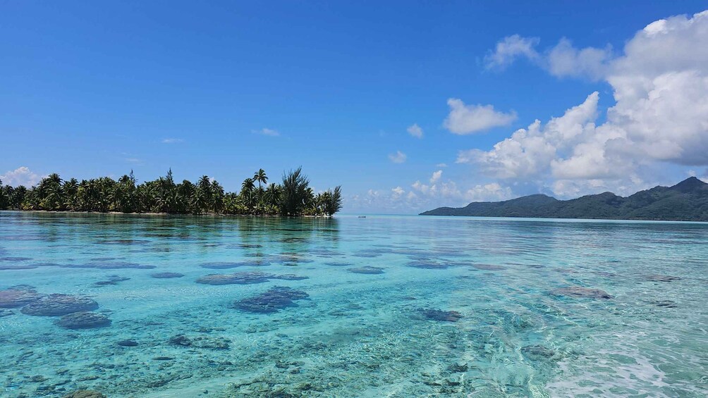 Picture 3 for Activity Raiatea & Taha’a: Full or Half-Day Island Boat Tour & Lunch 3