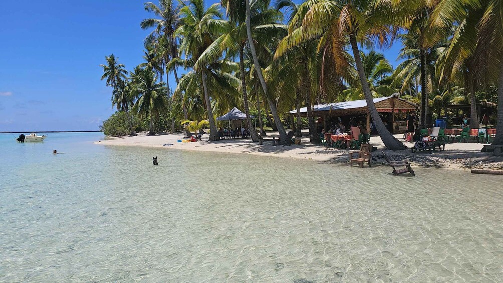 Picture 4 for Activity Raiatea & Taha’a: Full or Half-Day Island Boat Tour & Lunch 2