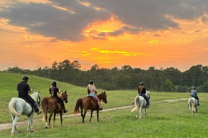 1 Hour Horseback Ride in Houston Area 5