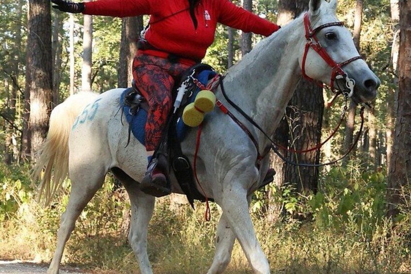 A person riding a white horse with blue markings through a forested area. 5