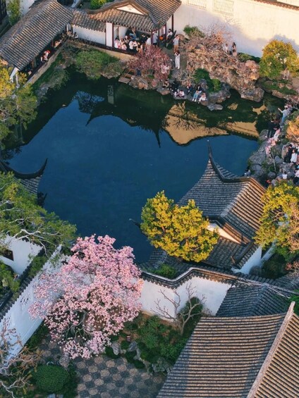A traditional Chinese garden with a pond, cherry blossoms, and pagoda-style architecture. 5
