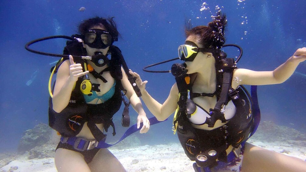 Two scuba divers underwater with scuba gear and fins. 1