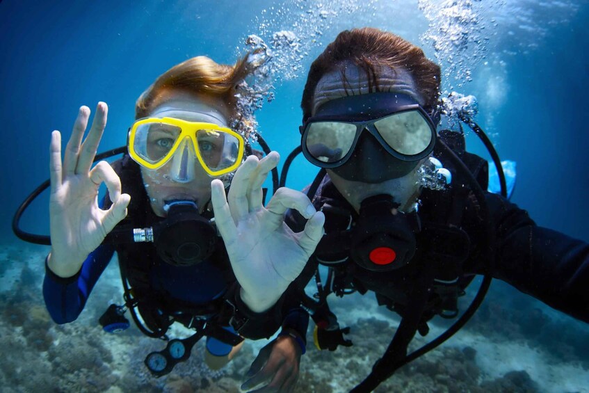 Two scuba divers underwater with their hands raised, surrounded by bubbles and the ocean floor. 5