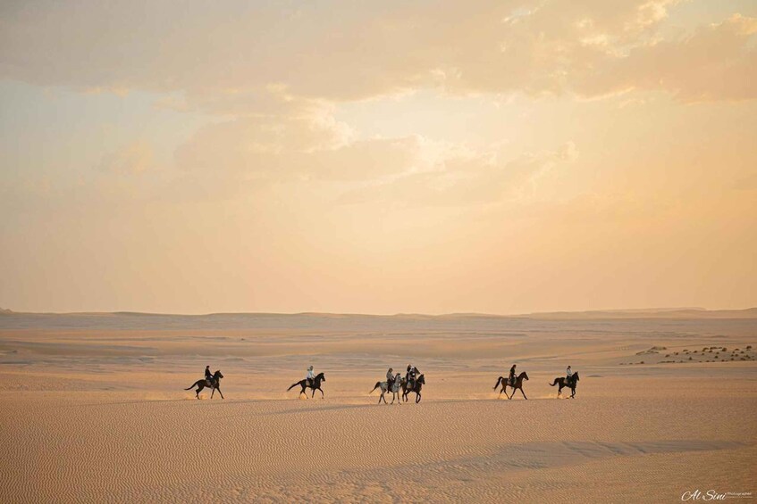 Fayoum: Magic Lake Desert Horseback Ride Experience 1
