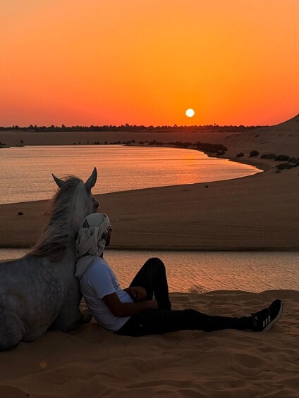 Picture 4 for Activity Fayoum: Magic Lake Desert Horseback Ride Experience 5