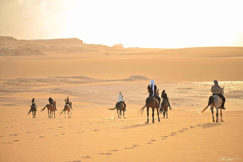 Picture 3 for Activity Fayoum: Magic Lake Desert Horseback Ride Experience 4