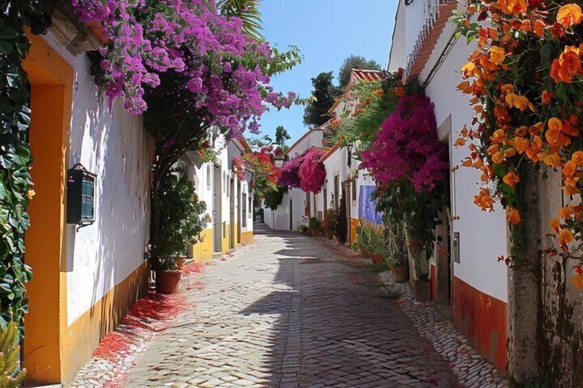 Nazaré, Óbidos and São Martinho Tour by Van from Lisbon 3