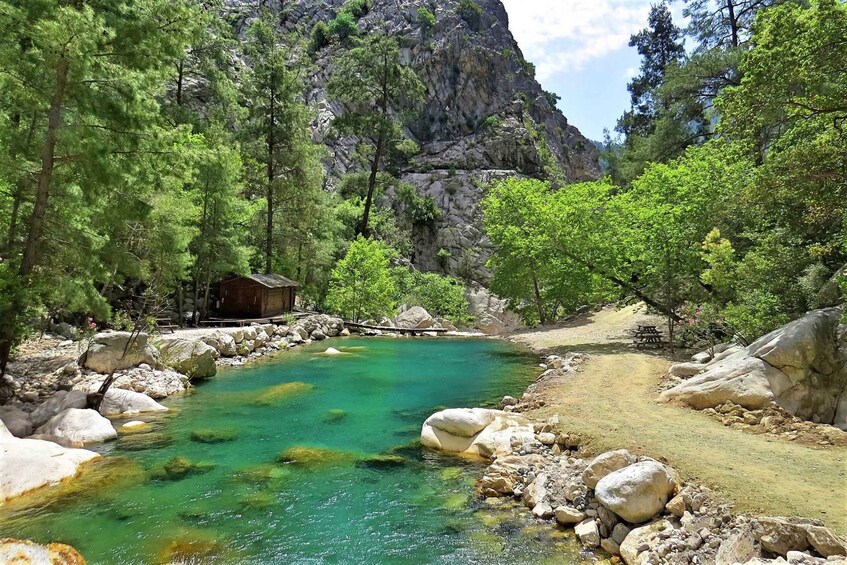A clear mountain stream surrounded by trees and rocks. 2