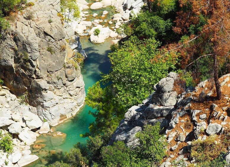 A river flowing through a rocky gorge with dense green foliage on the banks. 5