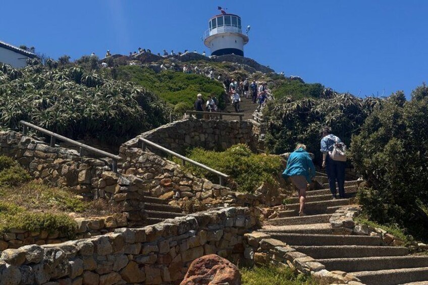 Shared Sunset Cape of Good Hope and Penguins Half Day Tour 5
