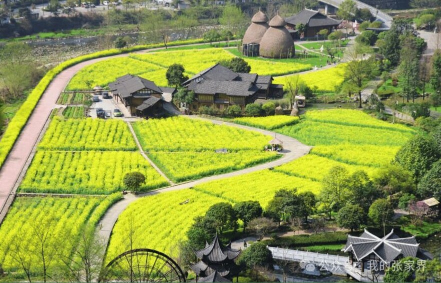 A rural landscape with fields, traditional houses, and a windmill. 5