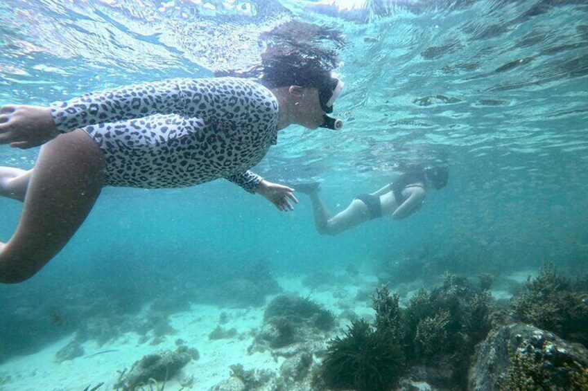 Two people swimming underwater in a clear blue sea with coral reefs. 1
