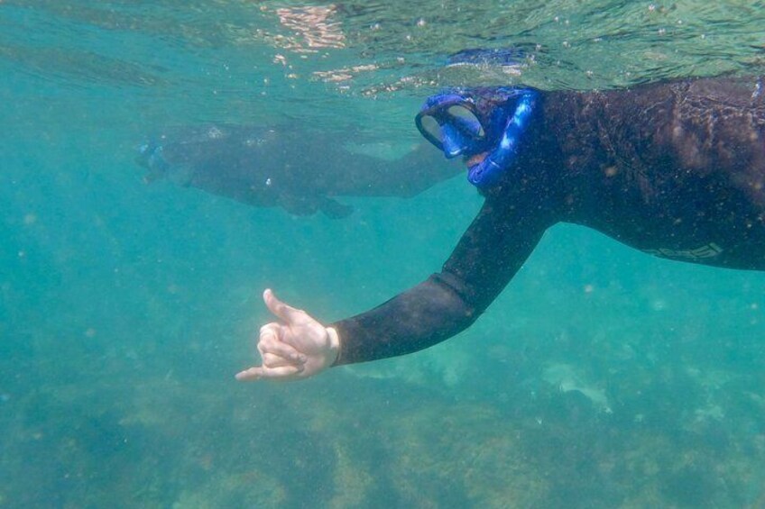 A person underwater, wearing a snorkel mask and fins, reaching out with one hand. 4