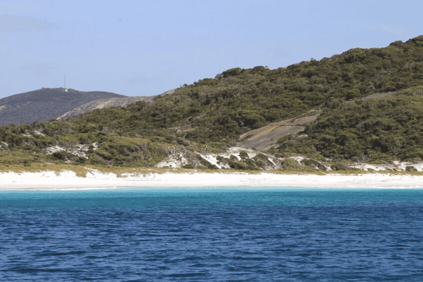 Picture 1 for Activity Albany: 4 Hour Private Boat with Driver, up to 12 people 5