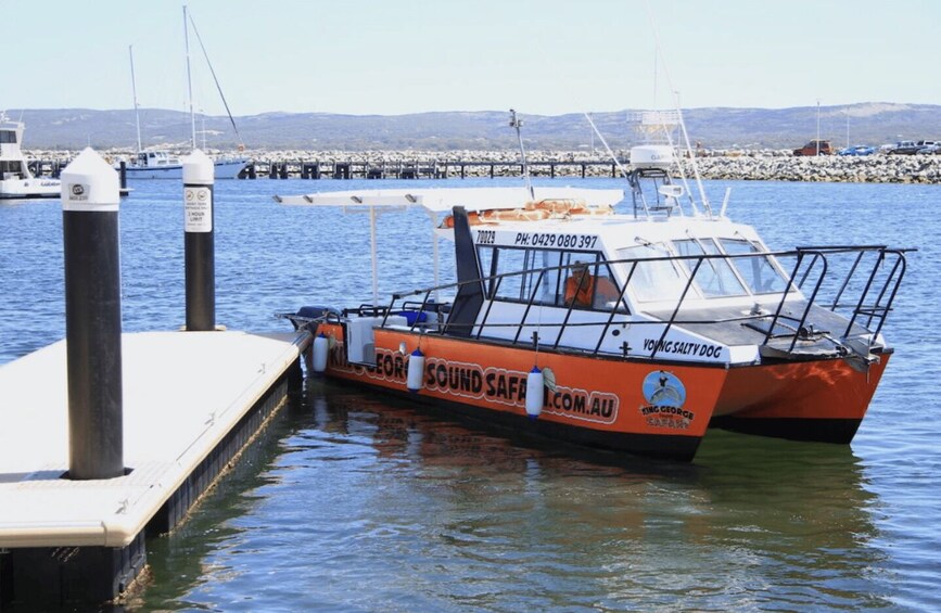 Picture 2 for Activity Albany: 4 Hour Private Boat with Driver, up to 12 people 2