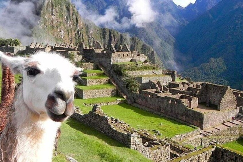 4 Day Cusco Machu Picchu and Rainbow Mountain Private Tour 1
