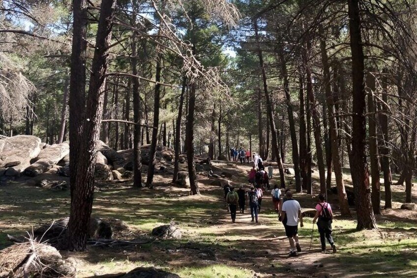 Las Navas del Marqués Hiking and Cultural Tour 2