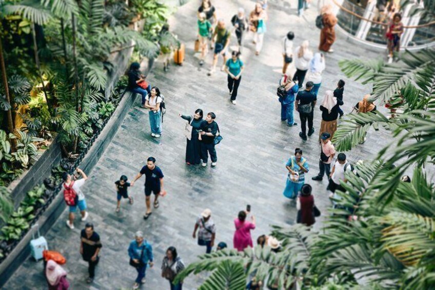 Discover Singapore with Jewel Changi Airport Escape 5