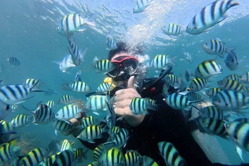 Premium DSD Diving Experience in Sanya All Inclusive Package 2