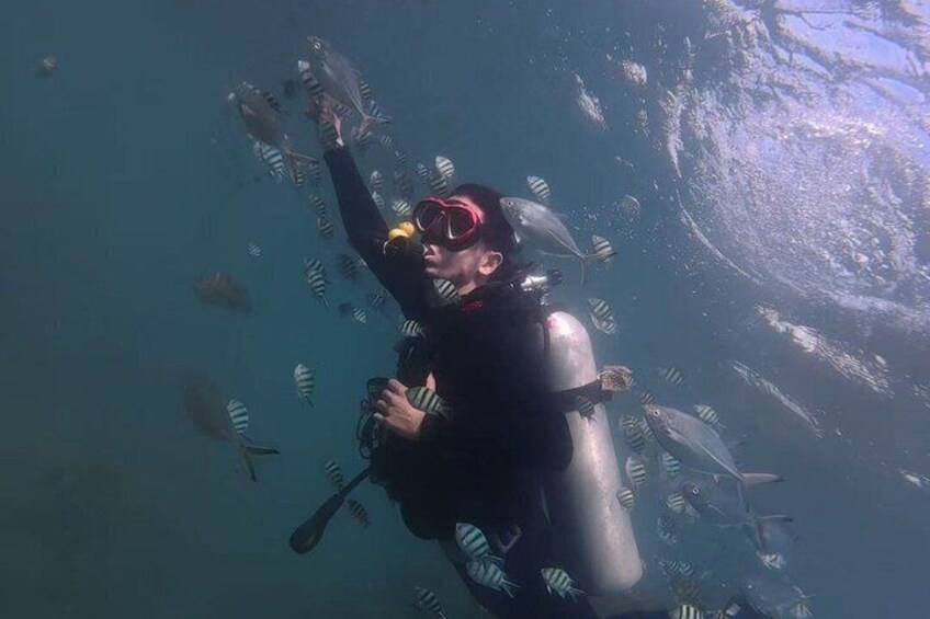 Premium DSD Diving Experience in Sanya All Inclusive Package 3
