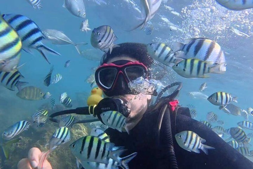 Premium DSD Diving Experience in Sanya All Inclusive Package 1