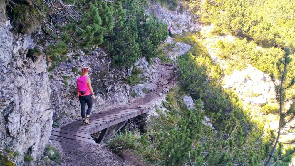 Picture 3 for Activity From Venice: Dolomites, Lake Sorapis hike with Alpine Guide 2