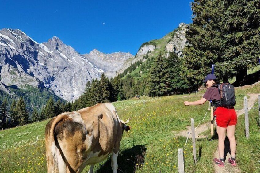 Multi-Day Switzerland Hiking Tour 4