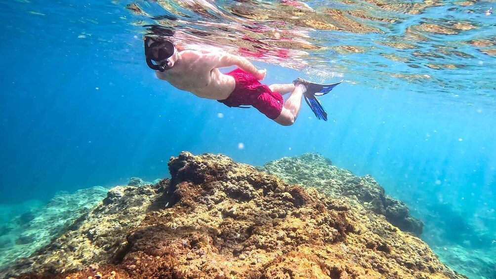 Picture 3 for Activity Malta: Private Snorkeling Tour with Photos 4