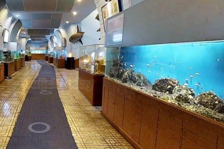 Private Nha Trang City Tour Highlights and Hidden Gems 5
