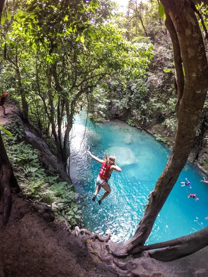 Dumaguete: Whale Shark Snorkeling & Canyoneering Tour 1