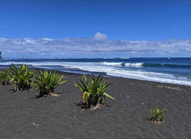 Tahiti: Shared Half-Day Circle Island Scenic Tour 1