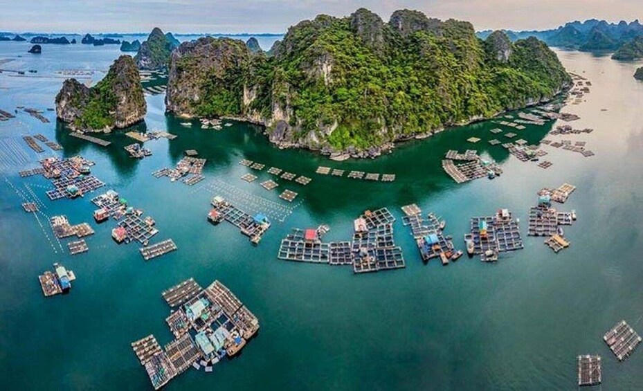Vue aérienne d’une zone côtière avec de nombreux pontons flottants et des bateaux. 4