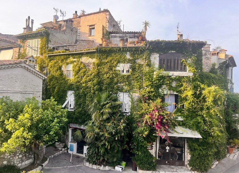 A building covered in ivy with a small shop entrance and a signboard. 4