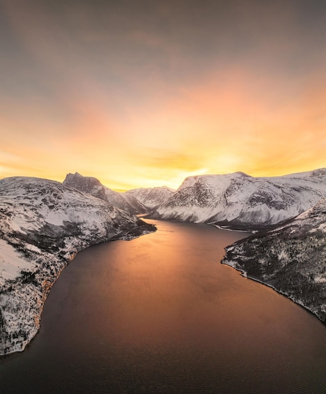 From Abisko: Norwegian Fjords and Wildlife Day Trip 1