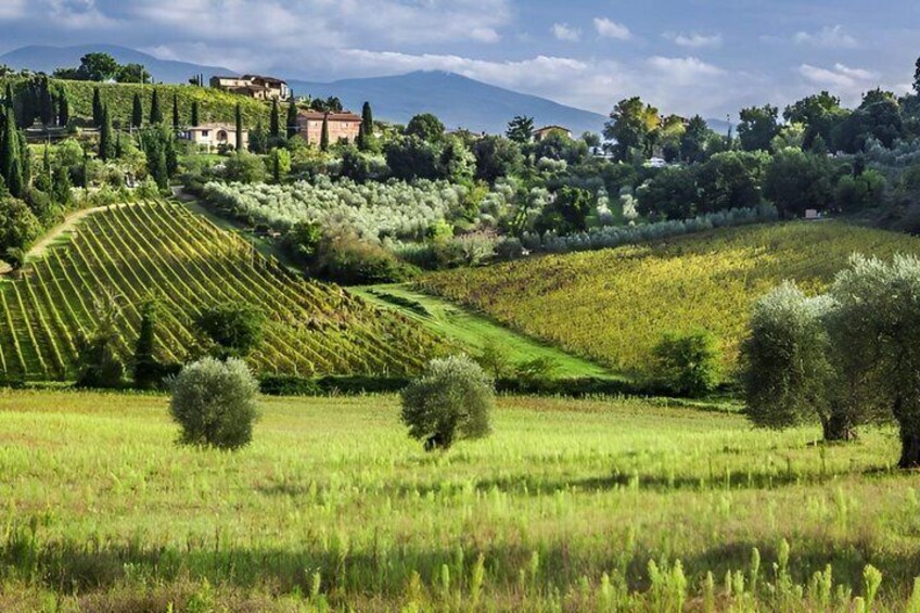 Under the Tuscan Sun Exclusive Private Van Tour from Florence 3