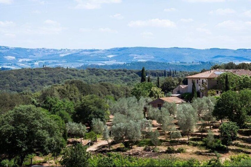 Under the Tuscan Sun Exclusive Private Van Tour from Florence 2