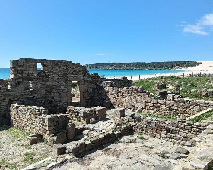 Picture 4 for Activity Tarifa: Baelo Claudia Experience, Tour and Roman Dining 4