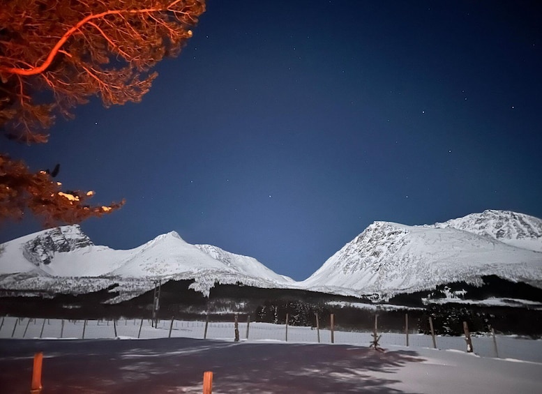 A snow-covered mountain range at night with a clear sky. 2