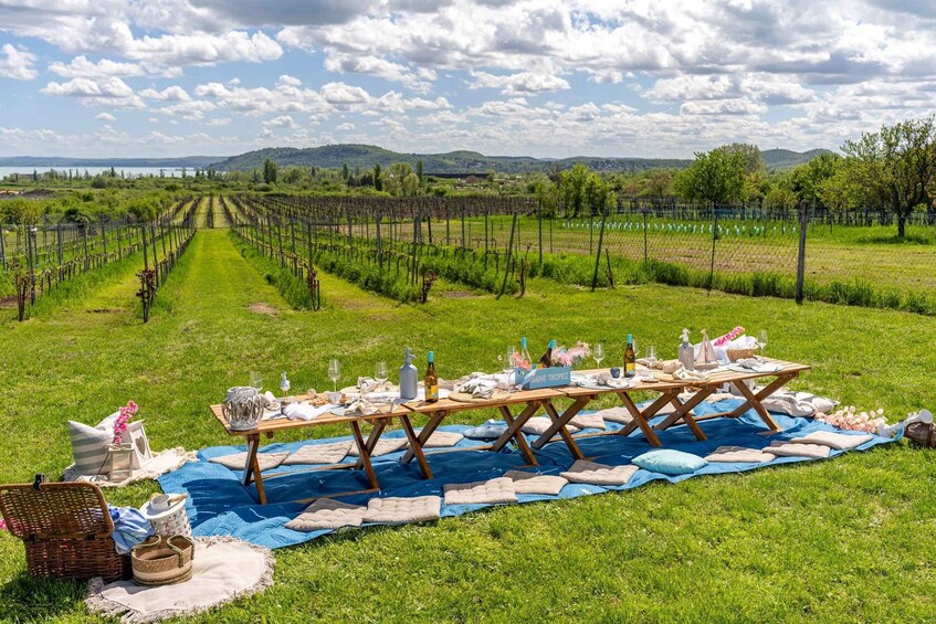 Picture 9 for Activity Balaton: All-Day Hop-On Hop-Off Tour with 26 Wineries 3