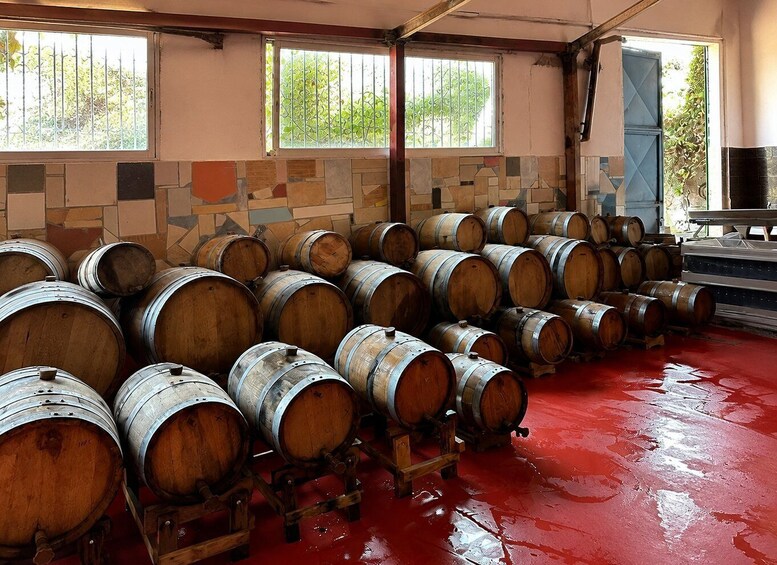 Wooden barrels stacked in a room with tiled walls and large windows. 4