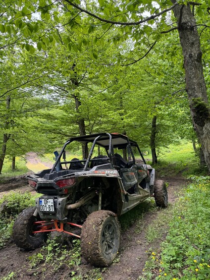 Picture 1 for Activity Tbilisi: Self-Drive Mountain Off-Road Buggy Adventure 2
