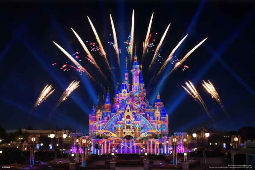 Shanghai Disneyland 1-Day Ticket + Premier Access Set of 10 2