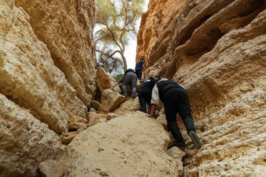 King Khalid Royal Reserve - Hiking at Thumama Falaq Trail 5
