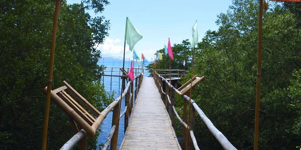 Picture 3 for Activity Puerto: Beaches & Snorkeling Spots Island Hopping Tour 3